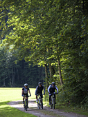 Ennsradweg
