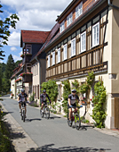   Stadt Wehlen