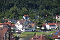 Stadt Wehlen