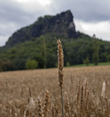 Lilienstein