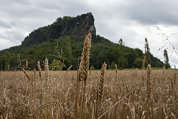 Lilienstein